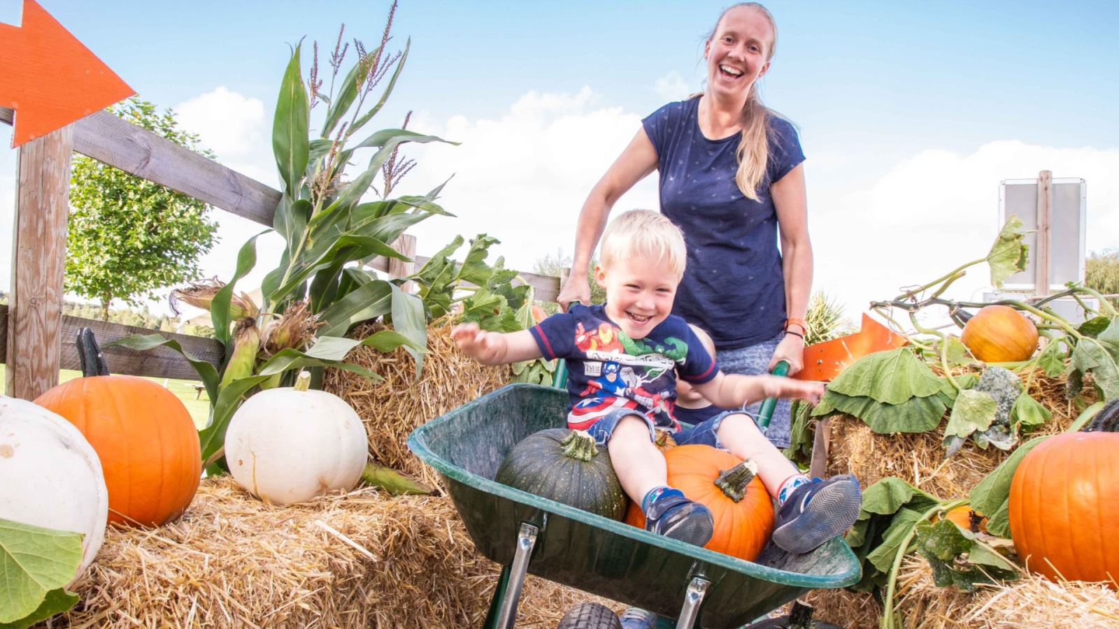 Noah’s Ark Zoo Farm turns orange with Pumpkins grown from Elephant Poo